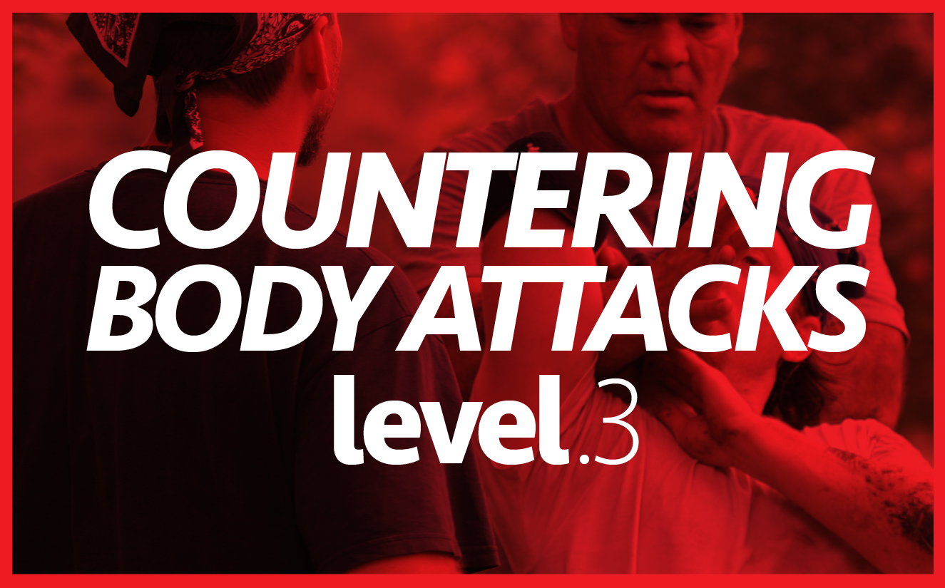 Level 3 Graphic-01 Level 3 Graphic-01