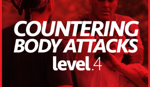 Level 4–Countering Attacks to the Body P2