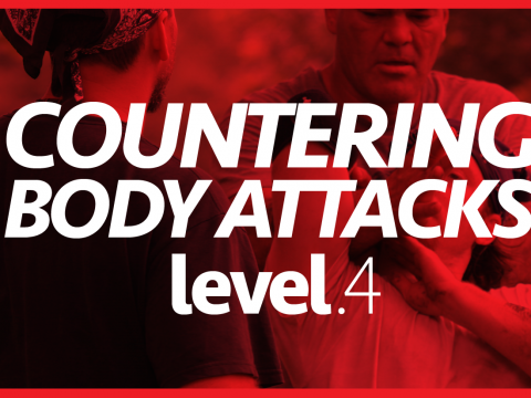 Level 4–Countering Attacks to the Body P2