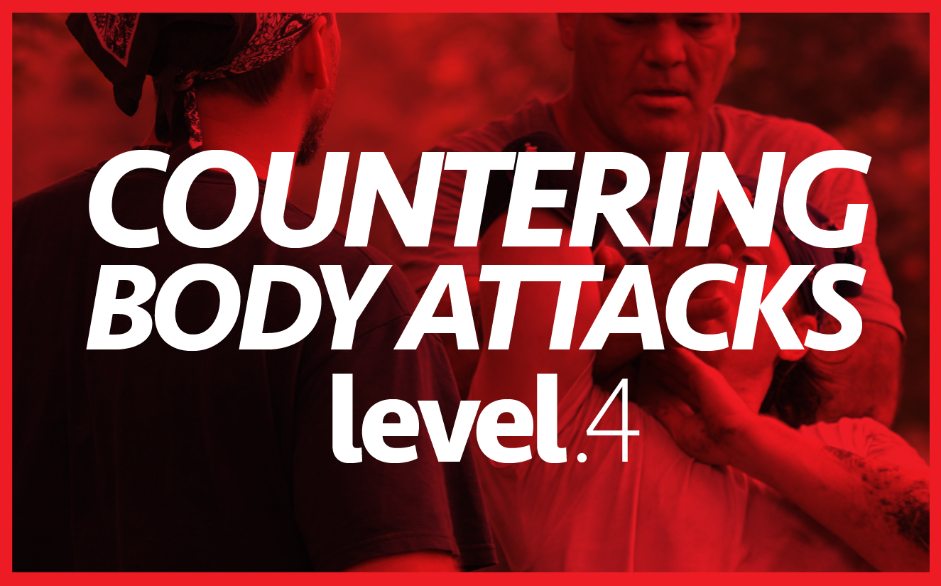 Level 4 Graphic-01 Level 4 Graphic-01